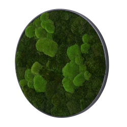 Mos cirkel med sort ramme i mix af pudemos og provencemos